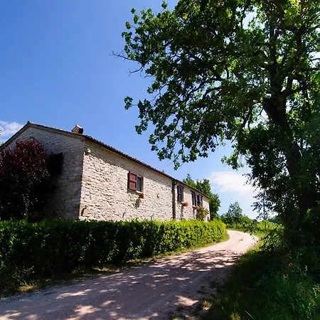 La Maestade Holiday